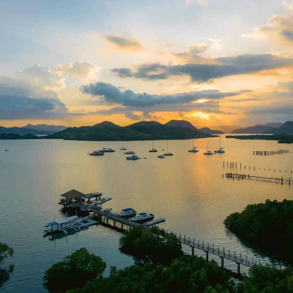 Copy of DJI_0128