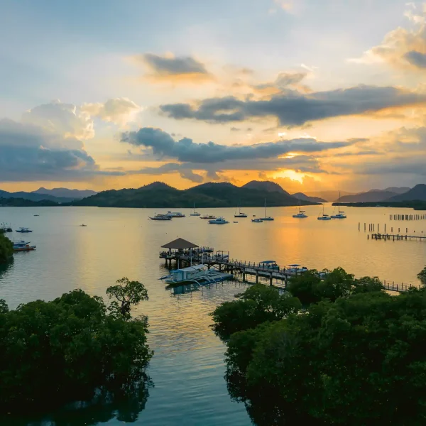 Copy of DJI_0129